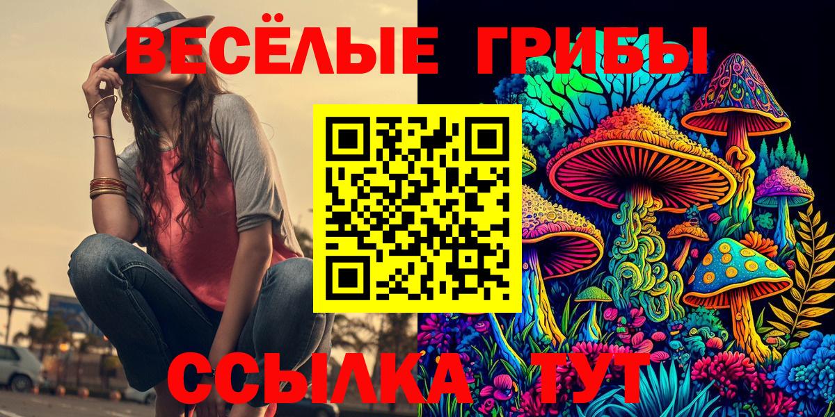 Псилоцибиновые грибы GOLDEN TEACHER  закладки  Псилоцибиновые грибы GOLDEN TEACHER  Бийск  Вход с VPN 