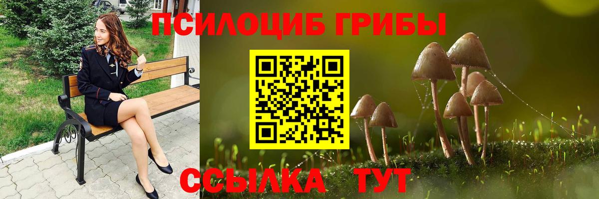 Псилоцибиновые грибы GOLDEN TEACHER Бийск